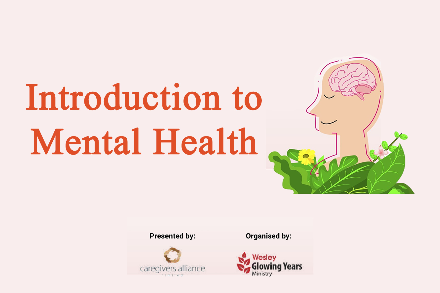 Introduction to Mental Health